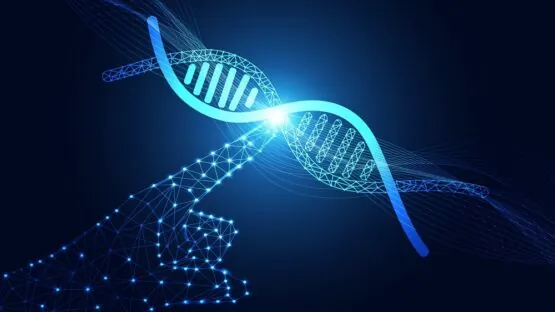 Touching DNA