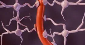 How Blood-Brain Barrier Leaks Make Parkinson’s Worse