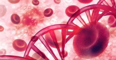 A Gene That Keeps Cells Under Control