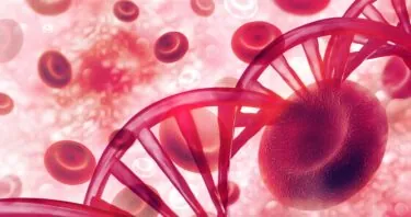 A Gene That Keeps Cells Under Control