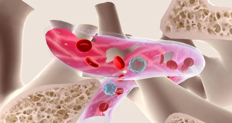 Non-Toxic Stem Cell Transplantation Prevents Cancer in Mice