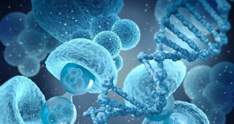 Five Hallmarks of Stem Cell Aging Proposed