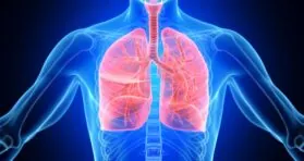 Engineered Stem Cells Reduce Lung Fibrosis in Mice
