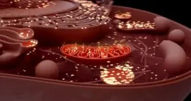 Scientists Successfully Edit Mitochondrial DNA