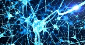 Senolytics May Affect Inflammation-Related Cognitive Decline