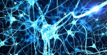 Senolytics May Affect Inflammation-Related Cognitive Decline
