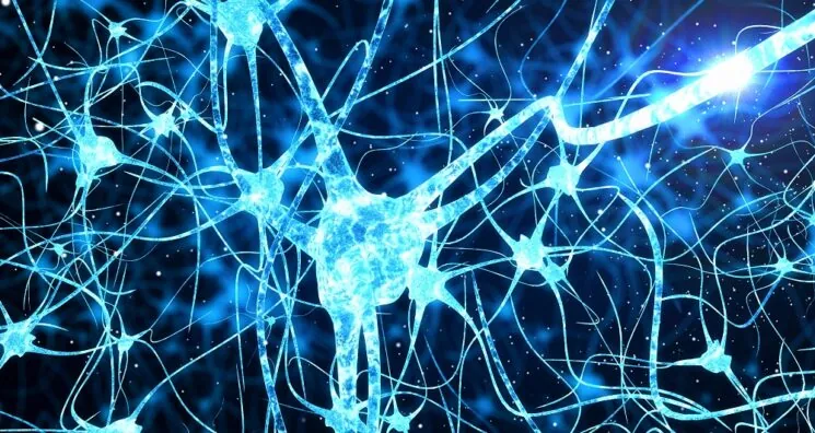Senolytics May Affect Inflammation-Related Cognitive Decline