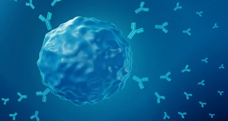 An Overly Youthful Immune System Might Cause Autoimmunity