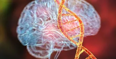 A Brain Clock for Finding Rejuvenating Medications
