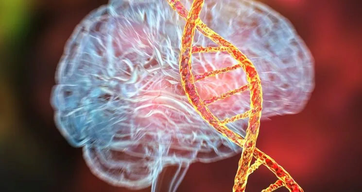 A Brain Clock for Finding Rejuvenating Medications
