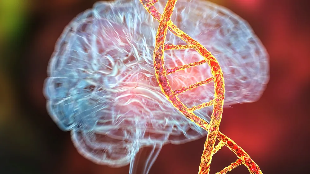 A Brain Clock for Finding Rejuvenating Medications