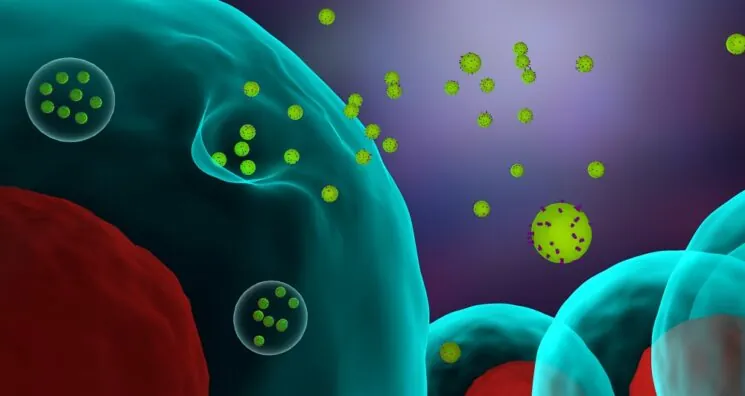 Researchers Identify a Key Senescence-Spreading Factor