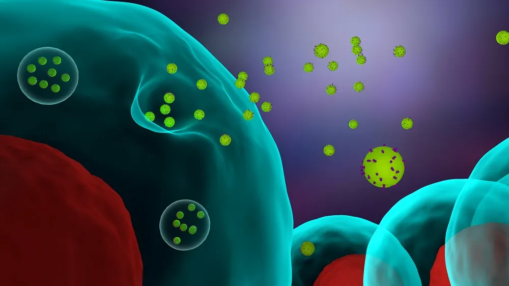 Cellular secretions