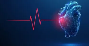 How Inflammation Is Linked to Heart Disease
