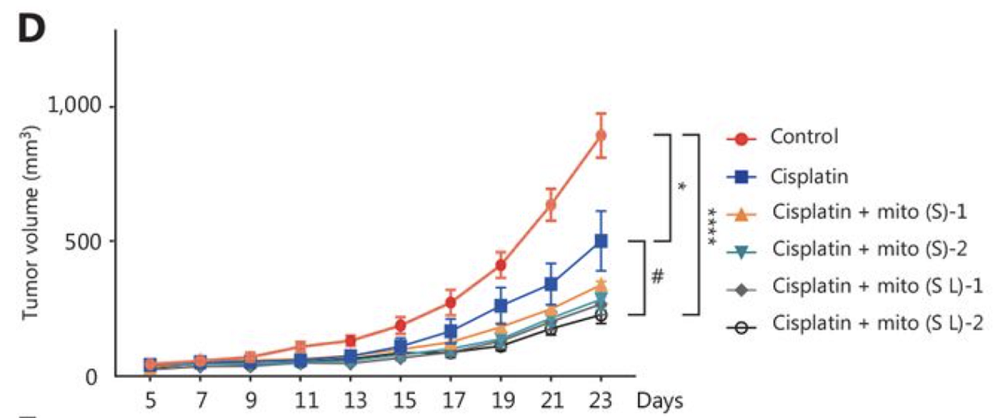 Mitochondria tumors