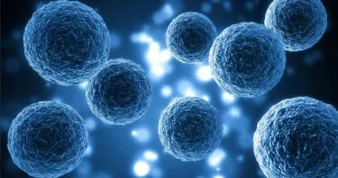A Better Extracellular Matrix Makes Aged Cells Act Youthful