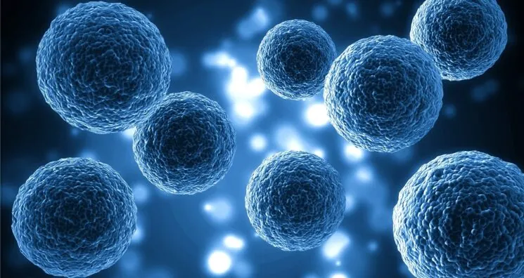 A Better Extracellular Matrix Makes Aged Cells Act Youthful