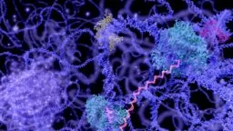 Wrapped DNA