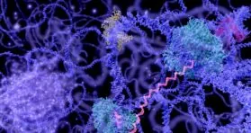 Loose Chromatin, Senescent Inflammation, and Cancer
