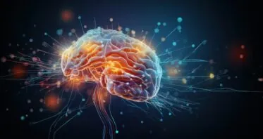 Study Boosts Brain Mitochondria, Rescues Memory in Mice