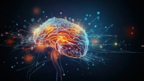Brain effects