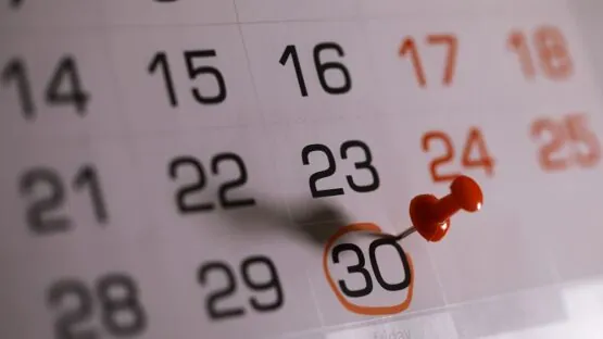 Calendar date