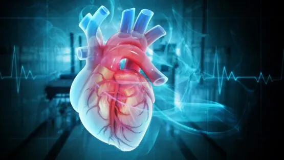 Heart analysis