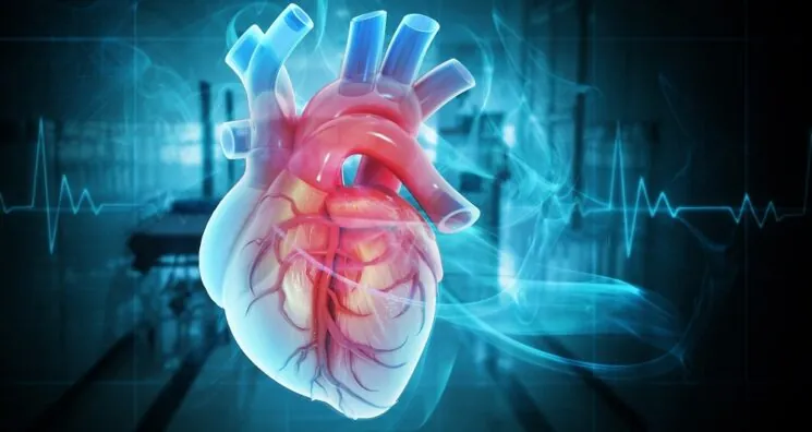 A Non-Viral Gene Therapy Restores Mouse Hearts