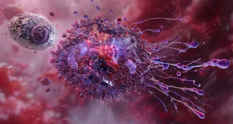 How Macrophages Manage Obesity and Change With Age