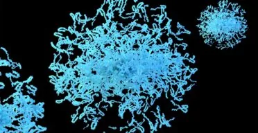 A Mechanism Behind Protein Aggregation Discovered