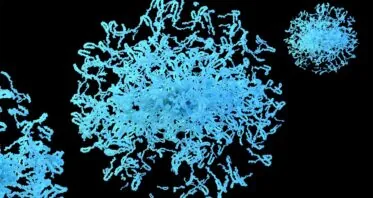 A Mechanism Behind Protein Aggregation Discovered