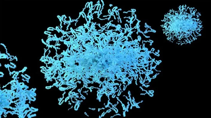Protein aggregate