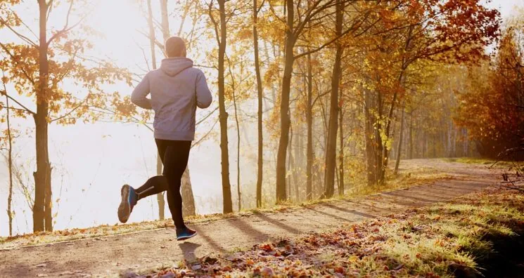 Exercise Suppresses Appetite via a Brain Pathway