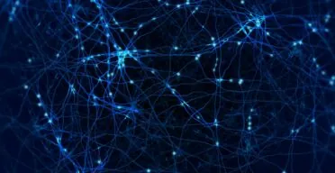 Tiny Brain Organoids Show Promise in Alzheimer’s Research