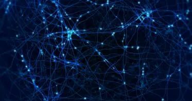 Tiny Brain Organoids Show Promise in Alzheimer’s Research