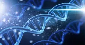 Researchers Identify Key Age-Related Genes