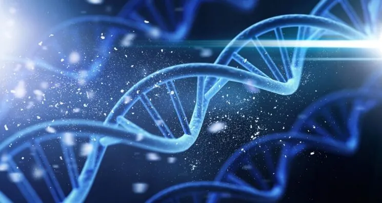 Researchers Identify Key Age-Related Genes