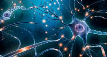 Partial Reprogramming Enhances Nerve Repair in Rats
