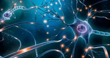 Partial Reprogramming Enhances Nerve Repair in Rats