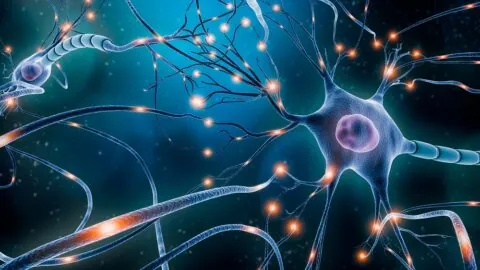 Functional neurons
