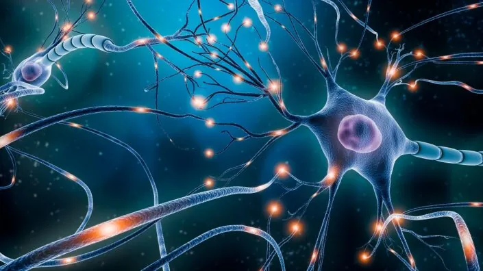 Functional neurons
