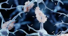 Amyloid-Fibrinogen Complexes Exacerbate Alzheimer’s in Mice