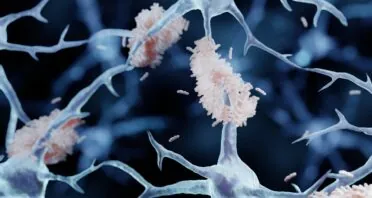 Amyloid-Fibrinogen Complexes Exacerbate Alzheimer’s in Mice