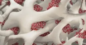 Fixing Lysosomes Improves Blood Stem Cell Function