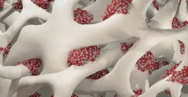 Fixing Lysosomes Improves Blood Stem Cell Function