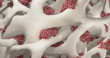 Fixing Lysosomes Improves Blood Stem Cell Function