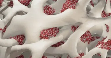 Fixing Lysosomes Improves Blood Stem Cell Function