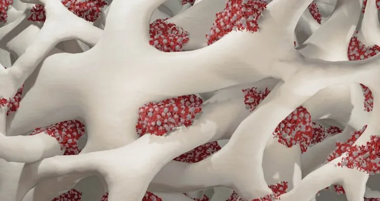 Fixing Lysosomes Improves Blood Stem Cell Function