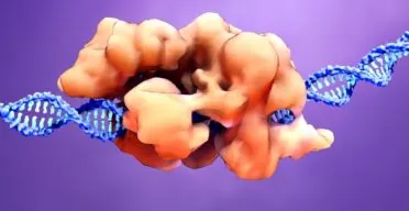 New Gene Therapy Robustly Lowers LDL and Triglycerides