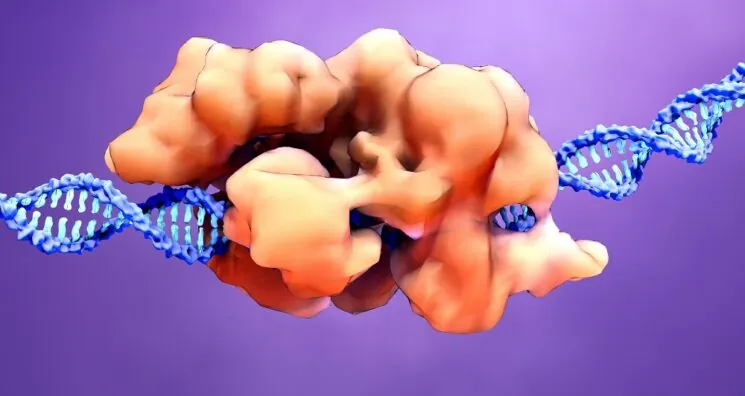 New Gene Therapy Robustly Lowers LDL and Triglycerides